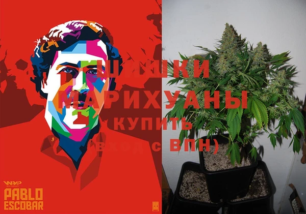 спайс Балабаново
