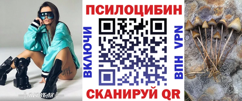 Псилоцибиновые грибы Psilocybe  цены   Кувандык 